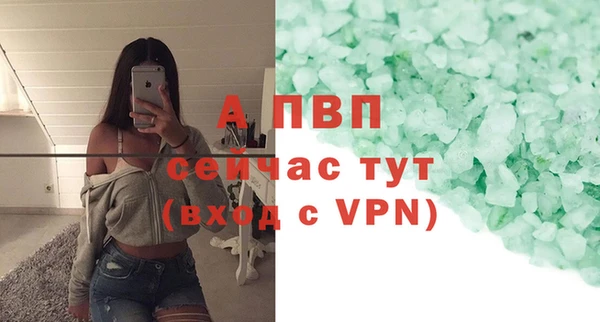 мдпв Каменка