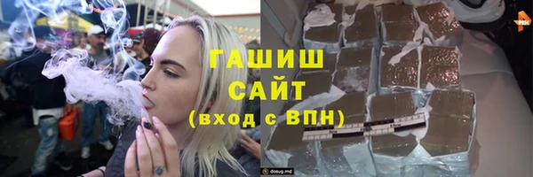 мдпв Каменка
